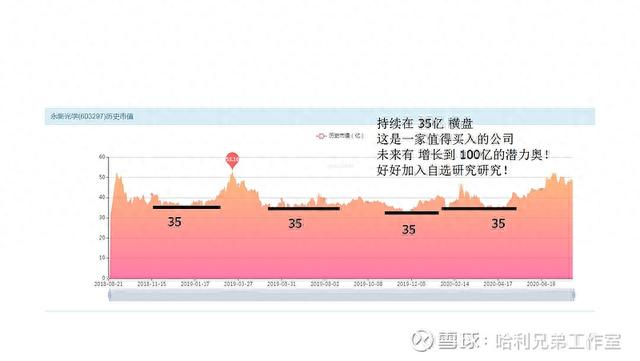 大傻瓜做价值投资（一二五）——电器仪表板块是否有猫腻
