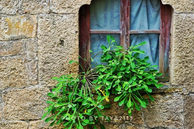 台州温岭：海边有个童话村，每一个色块都是少女的梦—妞儿嬉游记