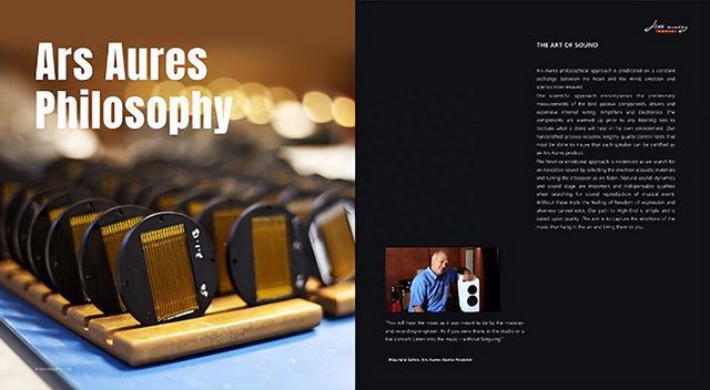 精品发烧喇叭真是多 这几款可能你是头回看到