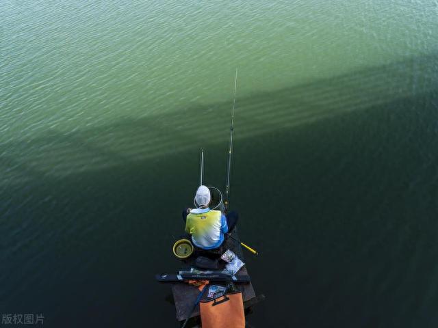 野钓大杀器！滑漂！专治大板鲫、大鲤、大草！赶紧换大鱼护吧！