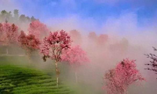 只要145元！今天买票周末出发！大理这些隐世美景霸占它的美！