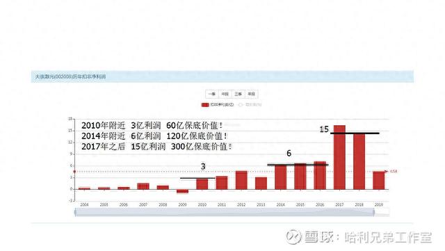 大傻瓜做价值投资（一二五）——电器仪表板块是否有猫腻