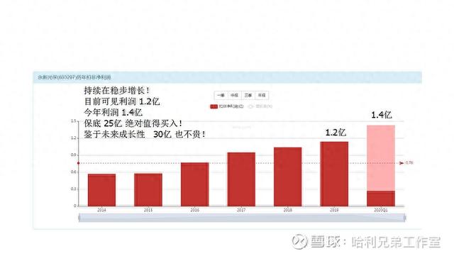 大傻瓜做价值投资（一二五）——电器仪表板块是否有猫腻