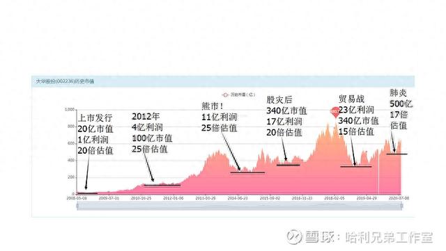 大傻瓜做价值投资（一二五）——电器仪表板块是否有猫腻