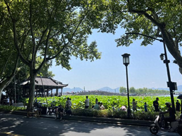 City Ride！五座城市的共享单车体验评测