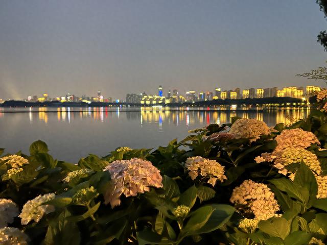 City Ride！五座城市的共享单车体验评测