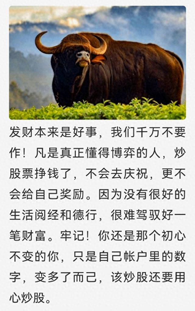 一个人炒股到最后会悟道吗？