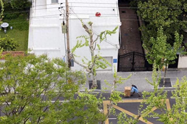 我在现场·照片背后的故事｜浦东封控后第二天，我回到上海……