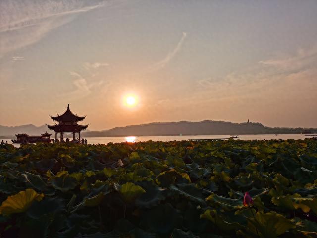 City Ride！五座城市的共享单车体验评测