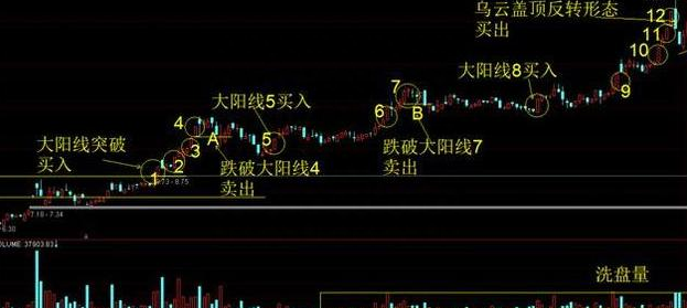 成功的投资人：什么样的股票值得我们一直持有，只买不卖？原来长期交易要这样操作