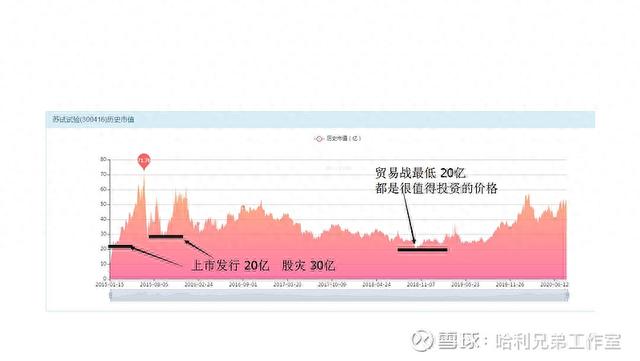 大傻瓜做价值投资（一二五）——电器仪表板块是否有猫腻