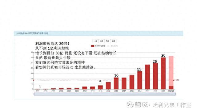 大傻瓜做价值投资（一二五）——电器仪表板块是否有猫腻