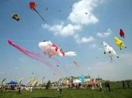 就要好果子！3.29禅通巴士邀你同游第二届嘉宝果采摘旅游文化节