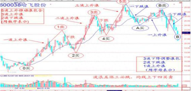 成功的投资人：什么样的股票值得我们一直持有，只买不卖？原来长期交易要这样操作