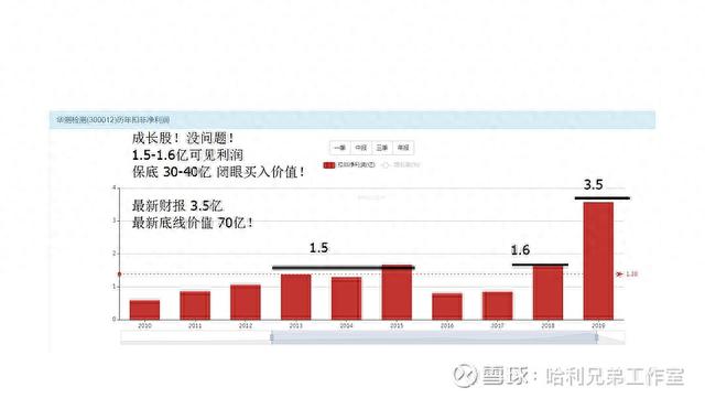 大傻瓜做价值投资（一二五）——电器仪表板块是否有猫腻