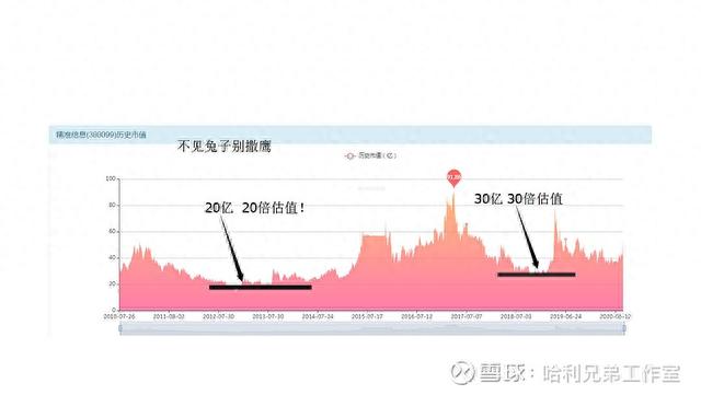 大傻瓜做价值投资（一二五）——电器仪表板块是否有猫腻