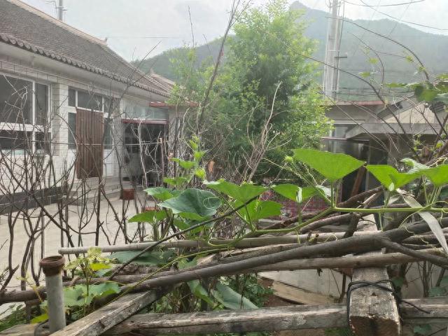 北京农村再向城市居民推出新院子租赁，最高年租金8.5万