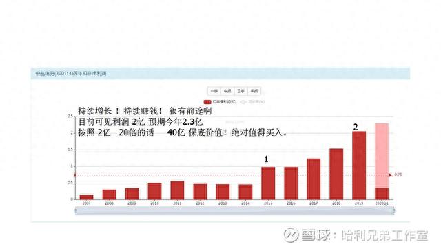 大傻瓜做价值投资（一二五）——电器仪表板块是否有猫腻