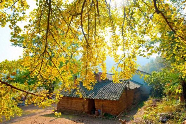 汉十高铁将迎首次春运，首日车票双12开抢