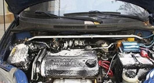 发动机舱有老鼠、蟑螂怎么办？不用麻烦，一个操作就可以解决