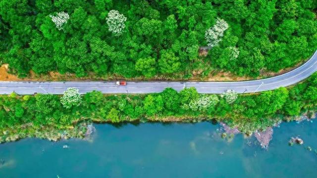 坐飞机去看海！上海直达这些绝美的城市只需1小时+