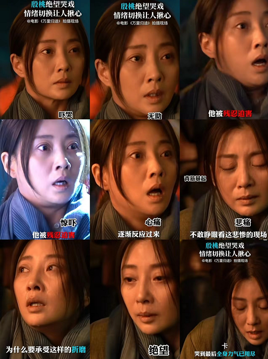 9.6分！《万里归途》票房正式破3亿，观众说得最多的是殷桃演技