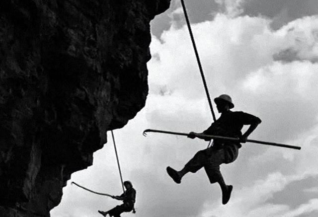 1960年，红旗渠工程总设计师吴祖太27岁牺牲，杨贵当众痛哭不已