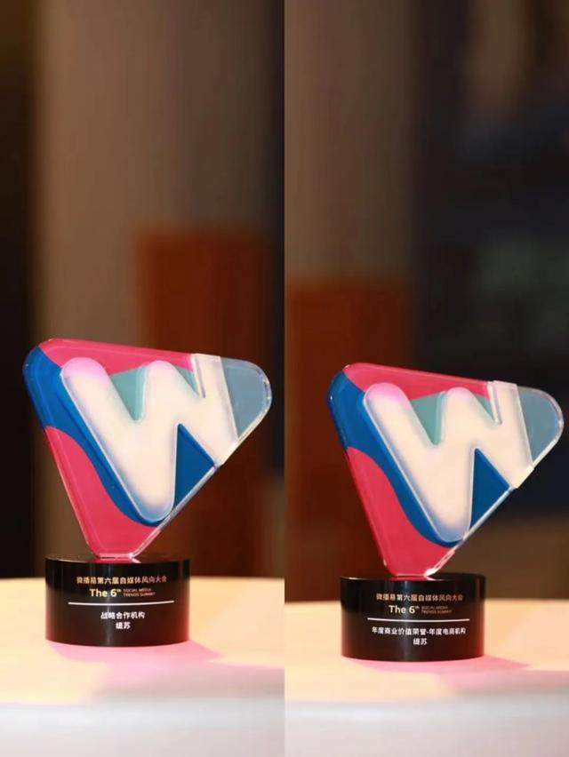 获奖快讯｜微播易风向大会首次来杭，缇苏斩获六大奖项