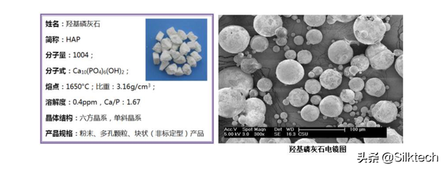 丝素蛋白｜再生修复医学-仿生骨
