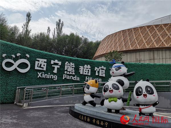 大熊猫“双欣”“和兴”迎来移居西宁后第三个生日
